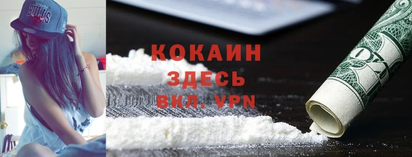 дживик Володарск